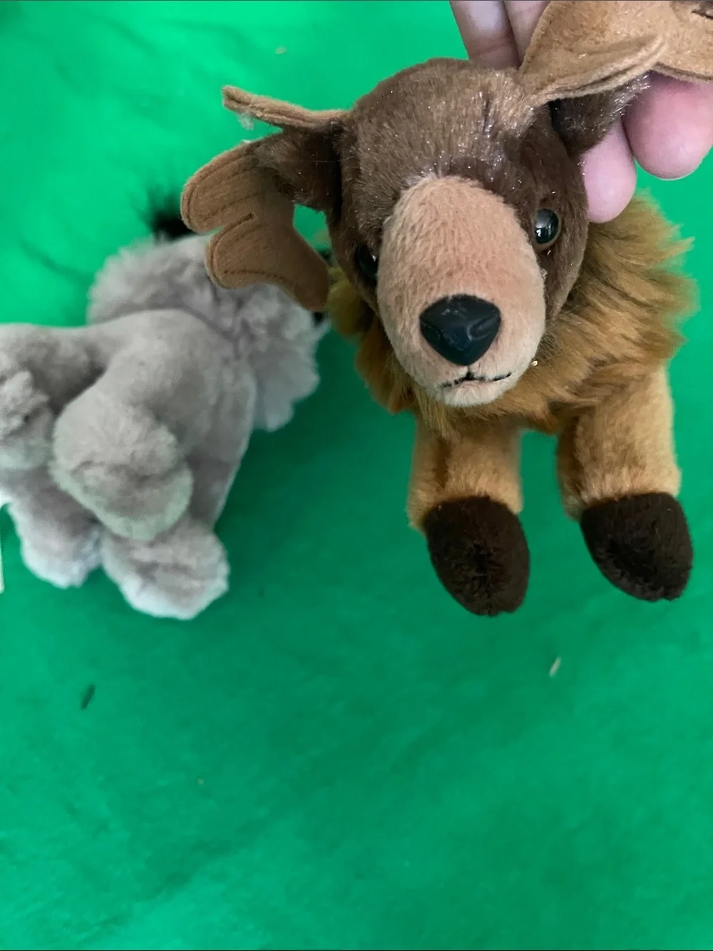 Plush Small Pet Toy Duo - Gray and Brown Soft Companions